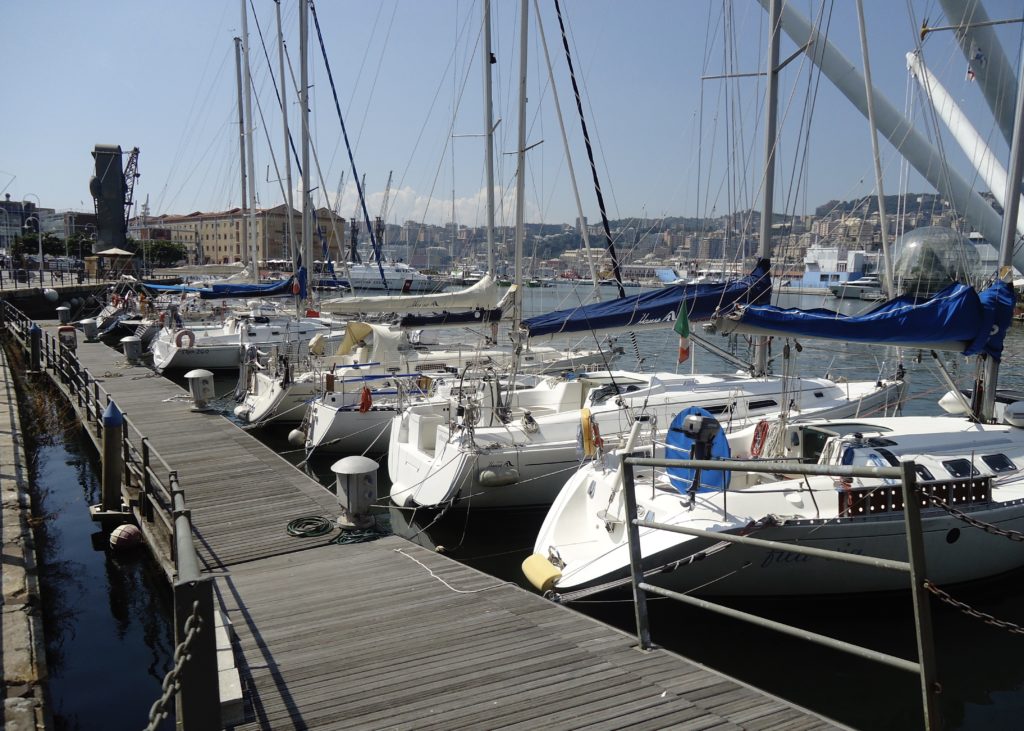 Savona
