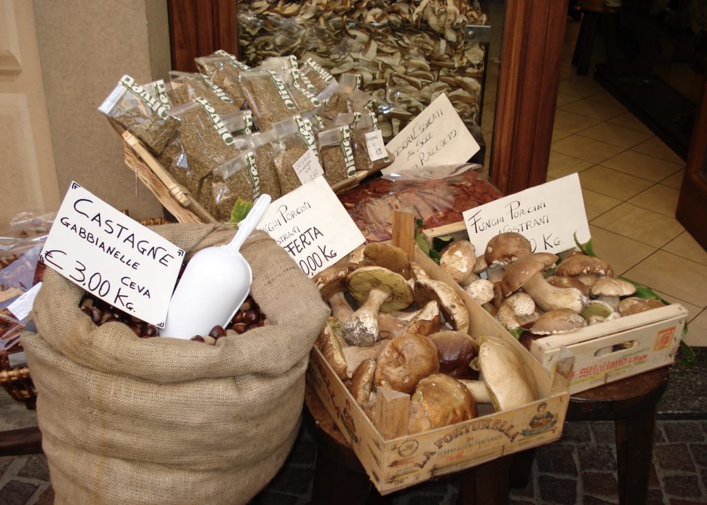 Porcini